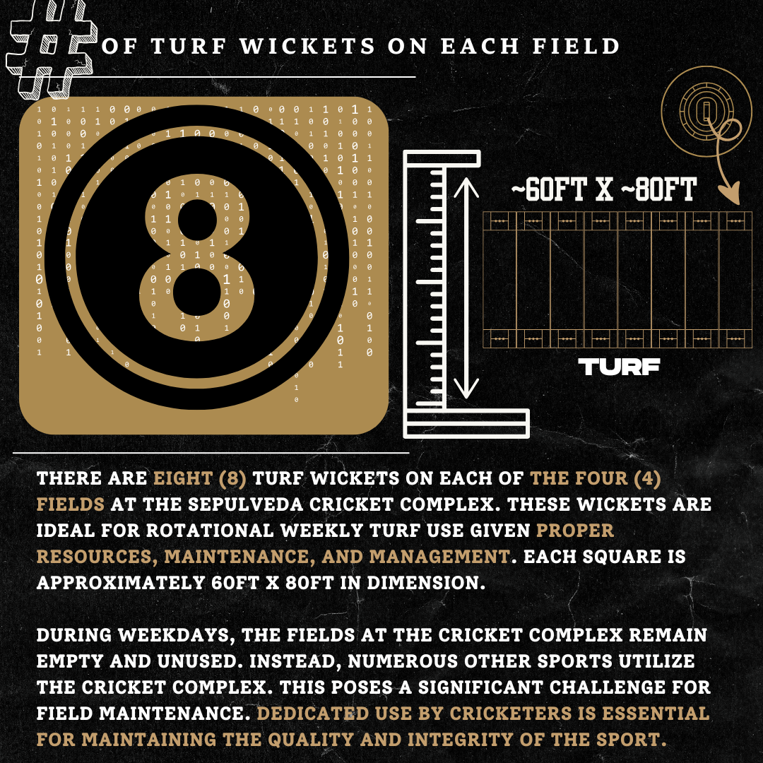 Turf Fields Overview